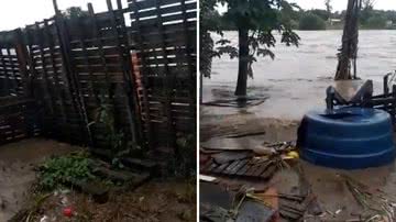 Imagem Vídeo: Chuvas intensas destroem abrigos de animais na Bahia e Preta Gil faz apelo em rede social