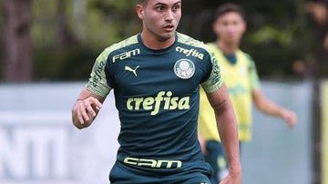 César Greco / Ag Palmeiras