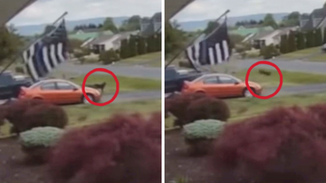 Arquivo Pessoal/Brittany Wampler