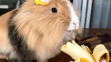 Reprodução/Redes Sociais