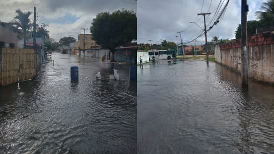 Reprodução