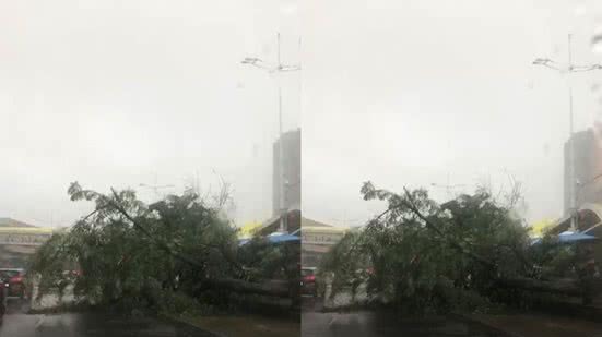 Reprodução / BNews
