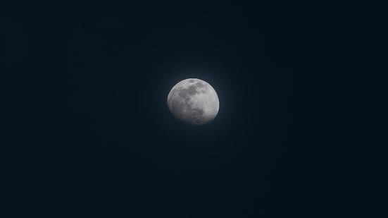 Reprodução / Freepik