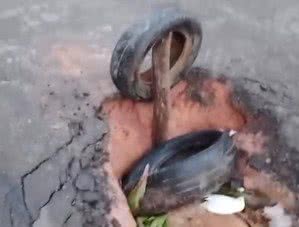 Reprodução / Redes Sociais
