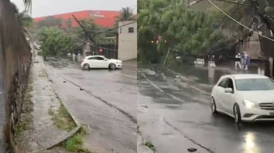 Reprodução / BNews