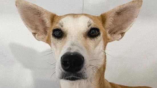 Foto: Reprodução / Arquivo pessoal