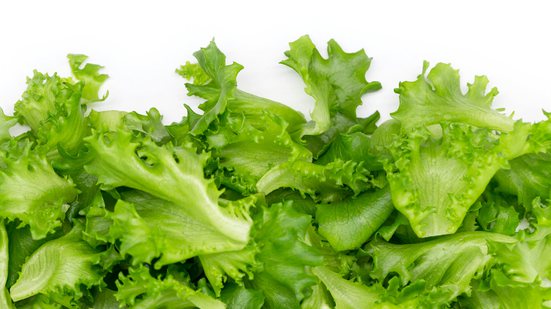 Reprodução / Petr Magera / Unsplash