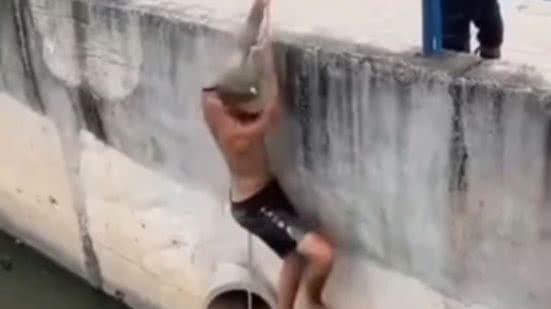 Reprodução