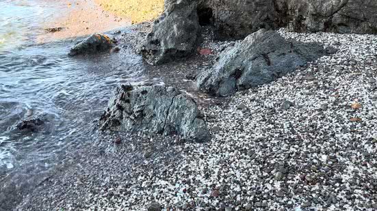 Reprodução/ YouTube @Nomadic Monkey