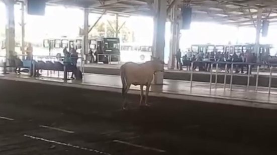 Reprodução Redes Sociais