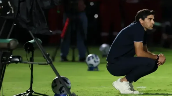 Cesar Greco/Palmeiras