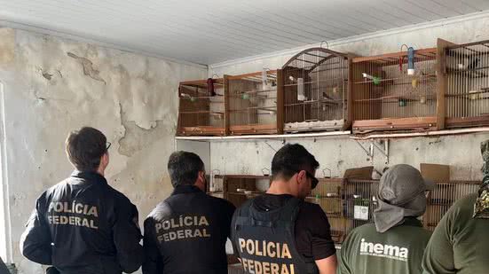 Divulgação/PF