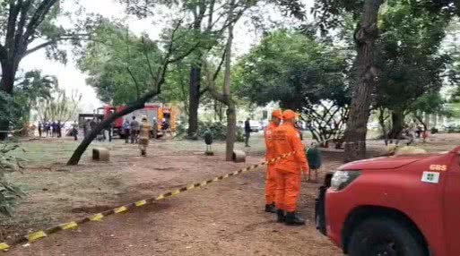 Reprodução / TV Globo