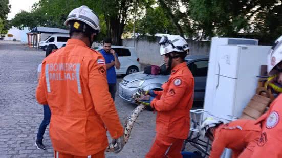 Divulgação- Corpo de Bombeiros