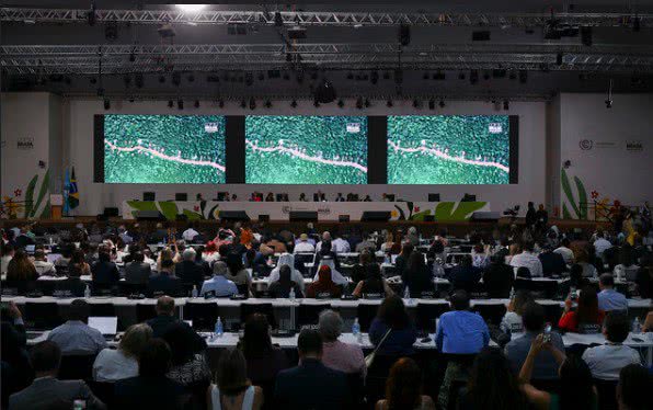 Ueslei Marcelino/COP30
