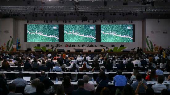 Ueslei Marcelino/COP30