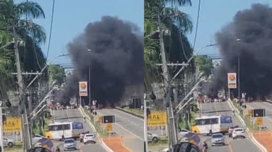 Reprodução