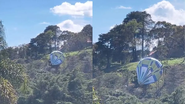 Divulgação/ Defesa Civil de Campos do Jordão