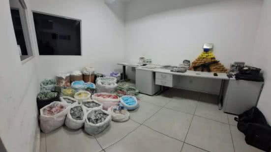 Reprodução