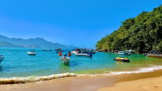 Reprodução / Kevin Wasilevski / Unsplash