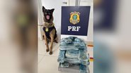 Divulgação/PRF