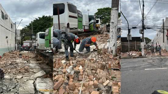 Reprodução