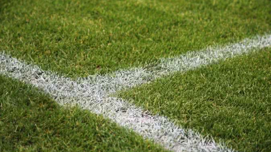 Reprodução / Freepik