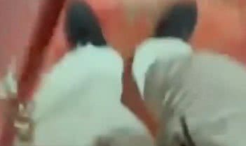 Reprodução / Internet