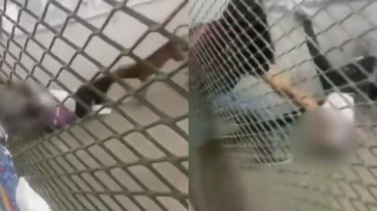 Reprodução/Redes Sociais