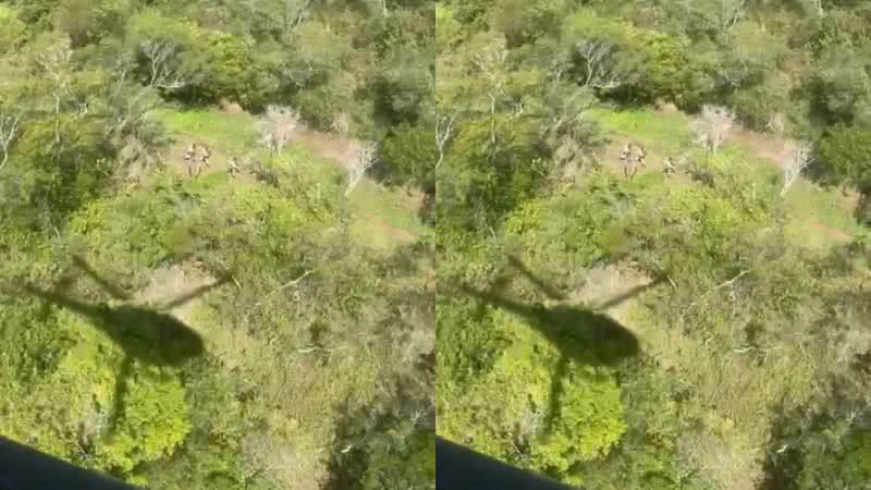Reprodução/ Vídeo