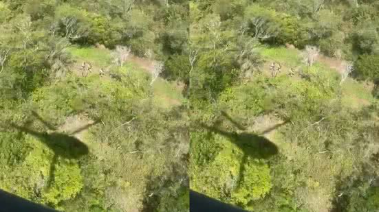 Reprodução/ Vídeo