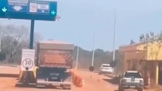 Reprodução