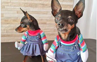 Reprodução / Redes sociais