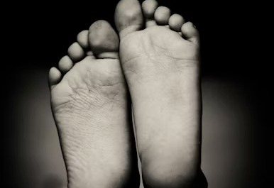 Reprodução / Danie Franco / Unsplash