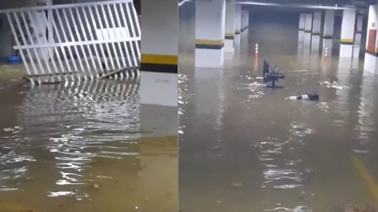 Reprodução