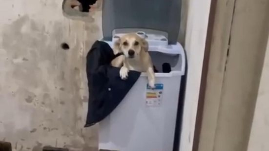 Reprodução Redes Sociais