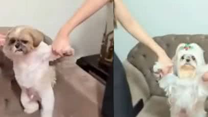 Reprodução Redes sociais