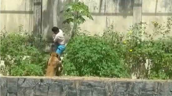 Reprodução | Redes Sociais