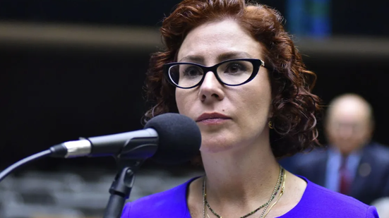 Zeca Ribeiro/Câmara dos Deputados