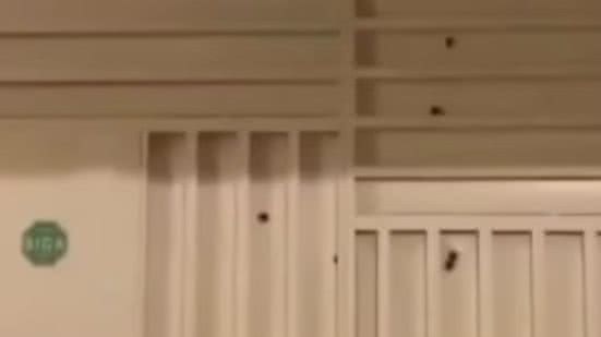 Reprodução/Redes Sociais