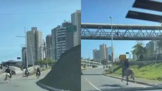 Reprodução / BNews