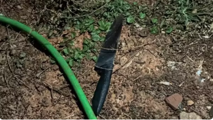 Polícia Militar/Divulgação