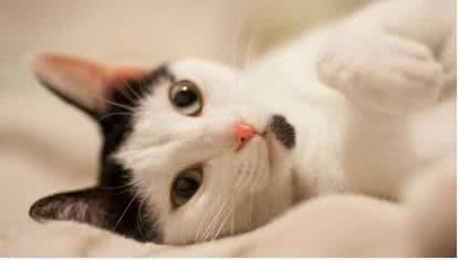 Ilustrativa / FreePik