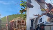 Reprodução/Instagram/Irecê Repórter