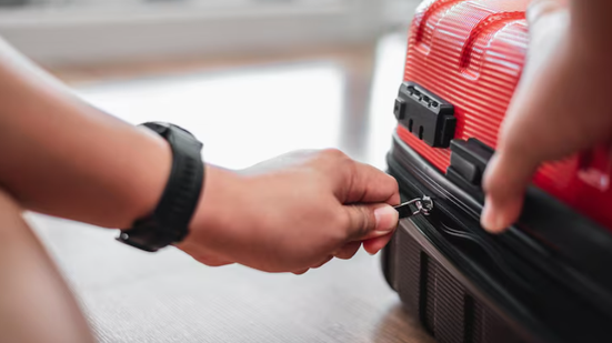 Reprodução / Freepik