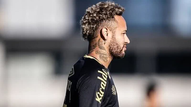 Raul Baretta/ Santos FC