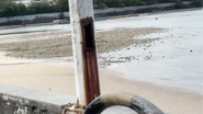 Imagem Moradores relatam situação de abandono na orla de São Tomé de Paripe: "Entregue às traças"