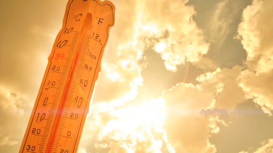 Reprodução Freepik