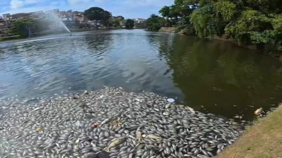 Reprodução TV Bahia