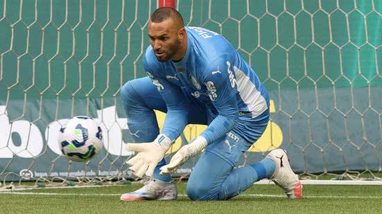 Cesar Greco/Palmeiras